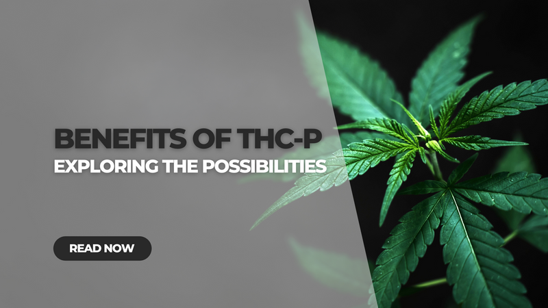 Benefits of THC-P