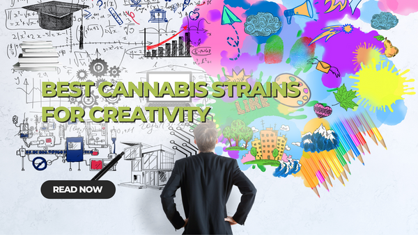 Best Strains for Creativity