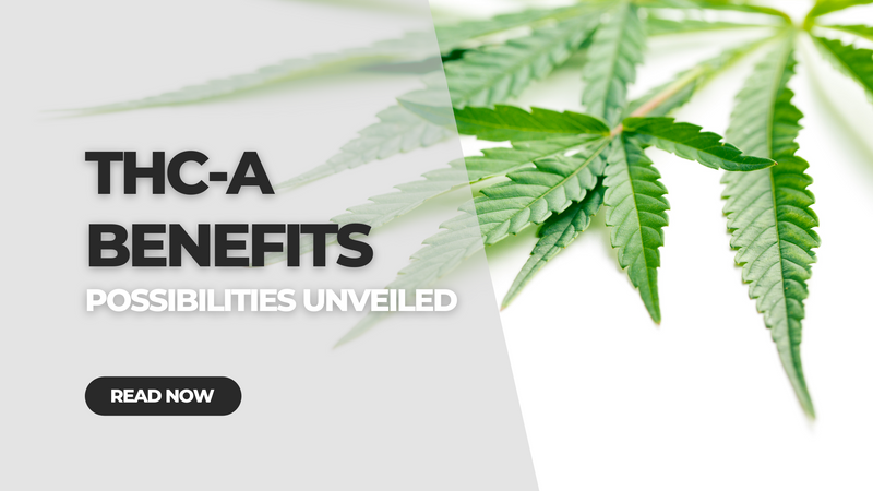 THCA Benefits: Possibilities Unveiled