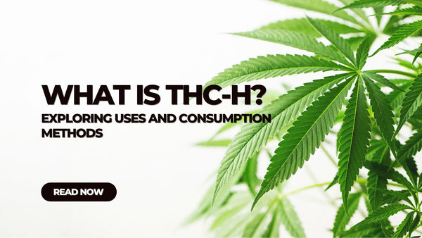 What is THC-H?