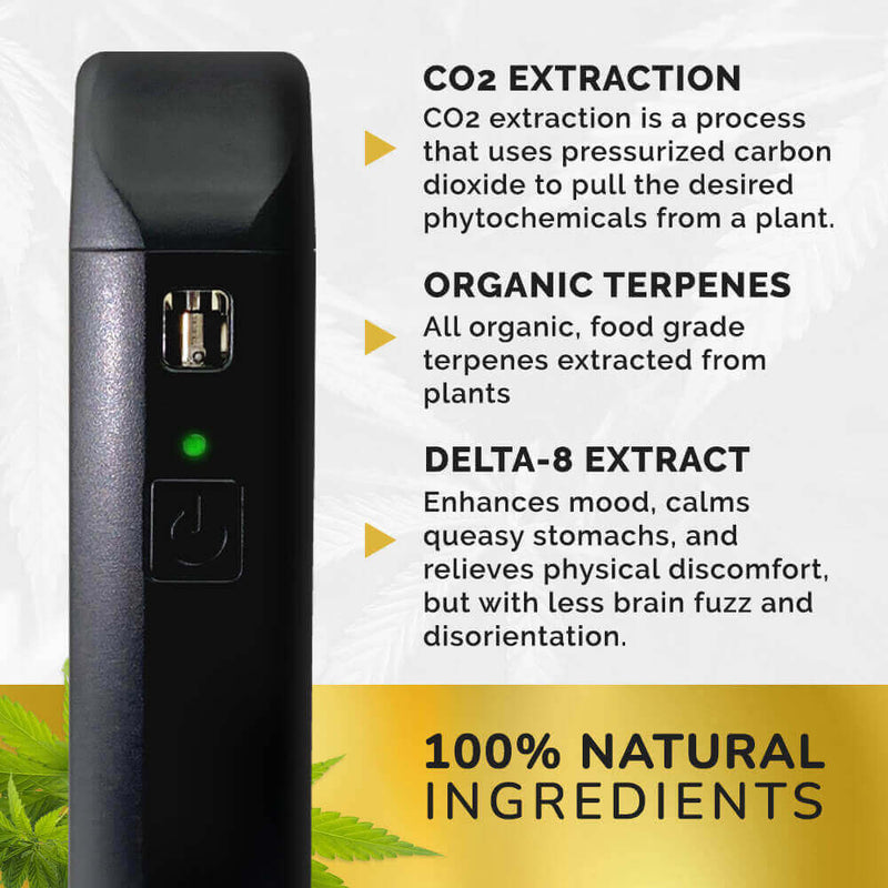 Exhale Wellness Delta 8 Disposable Vape - Cactus Cooler